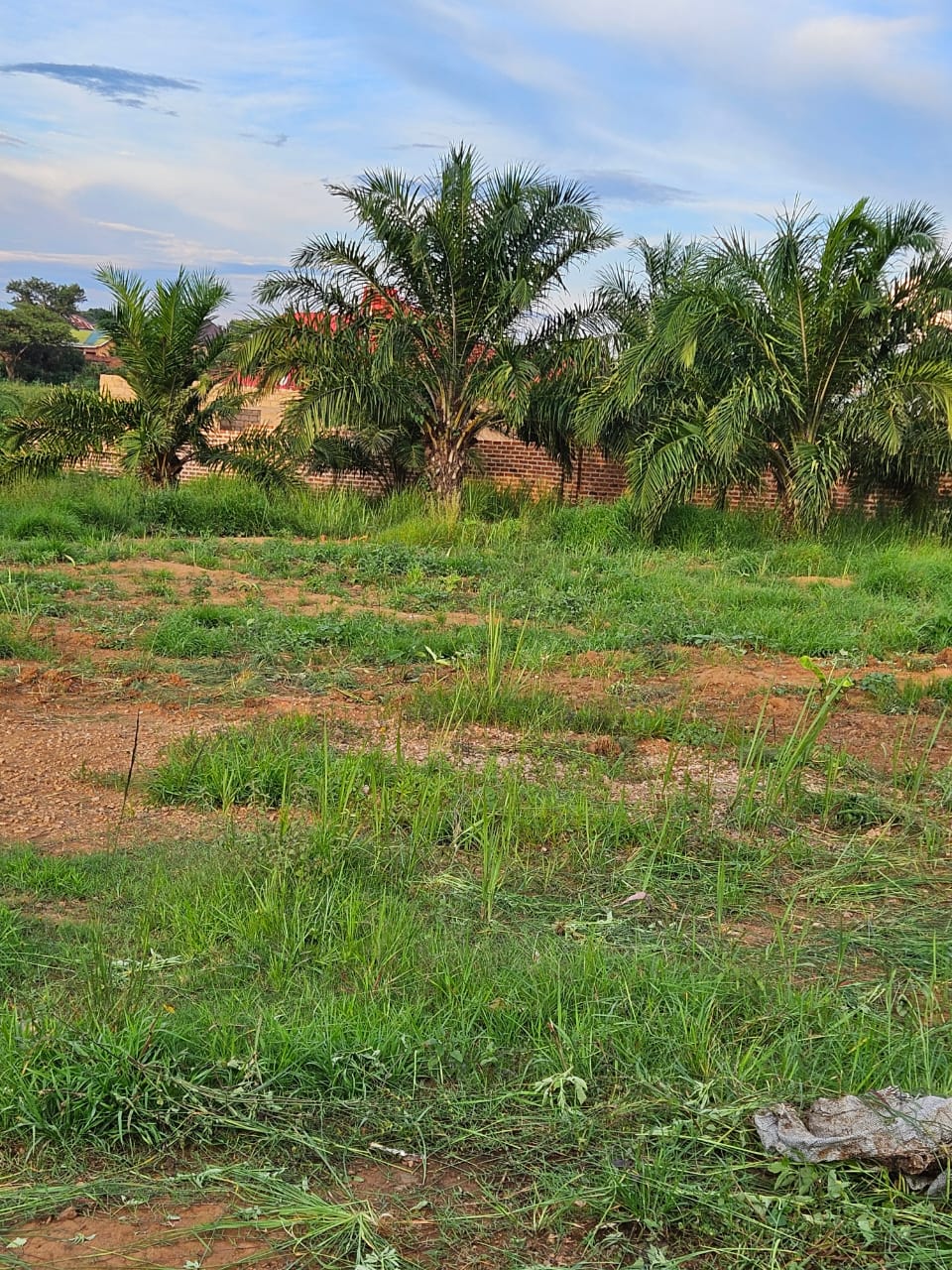 Notre site agricole à Lubumbashi